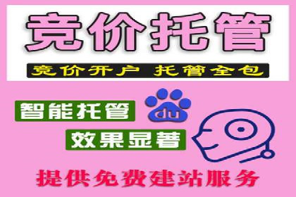 竞价广告赚钱秘籍：百度实战案例